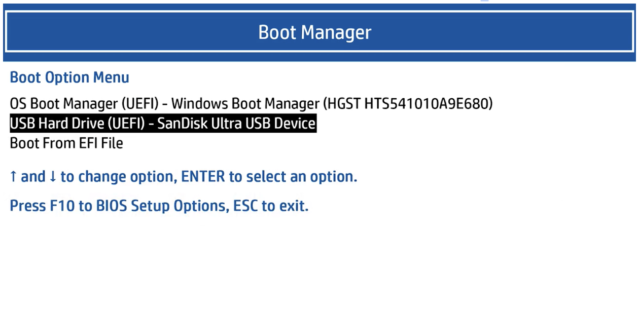 Use your arrow keys to go to the USB drive option, and then press Enter